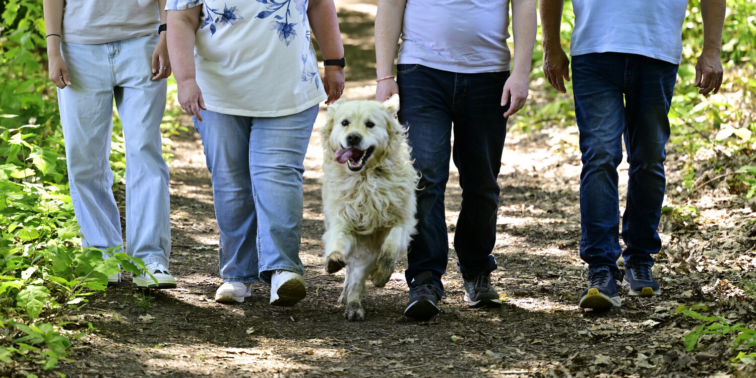 Familie en gezins reportages - Foto 1
