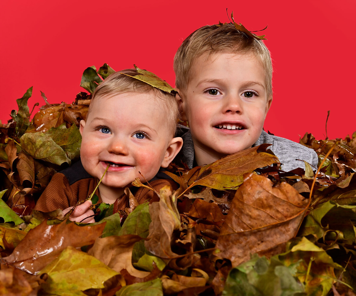 Kinderfotografie - Foto 5